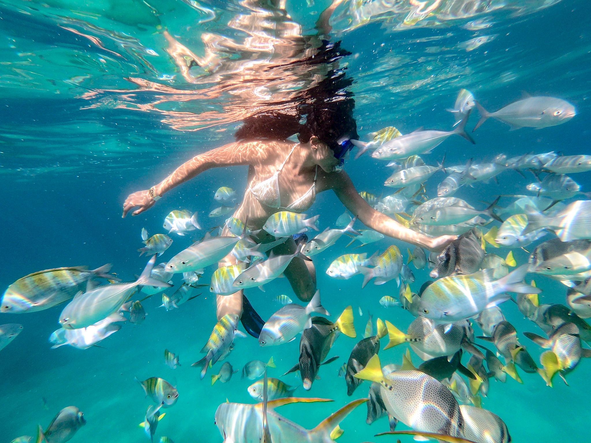 Rainbow Canyon (Pelican Island) 