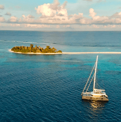 Freedom and Flexibility